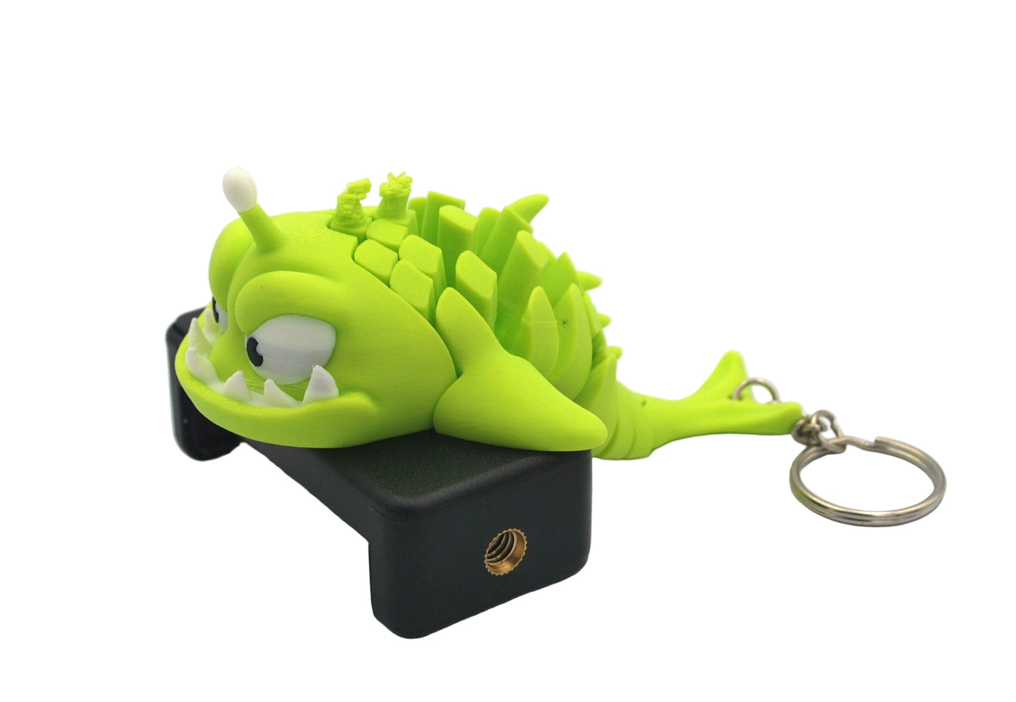 Anglerfish