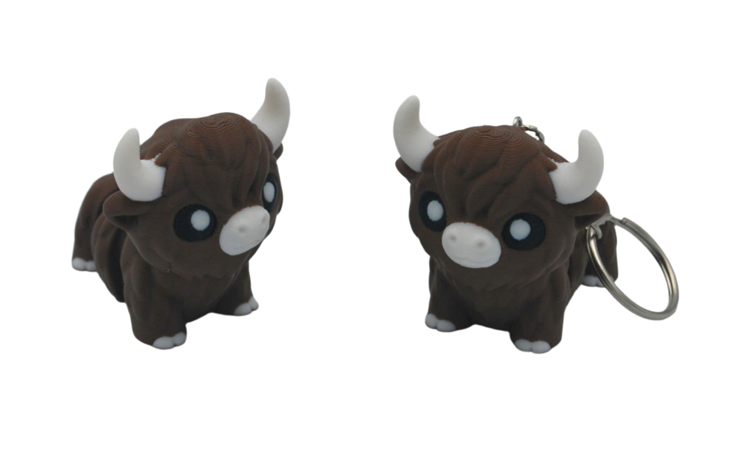 Highlander Cow